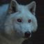 ItsMeWolfie